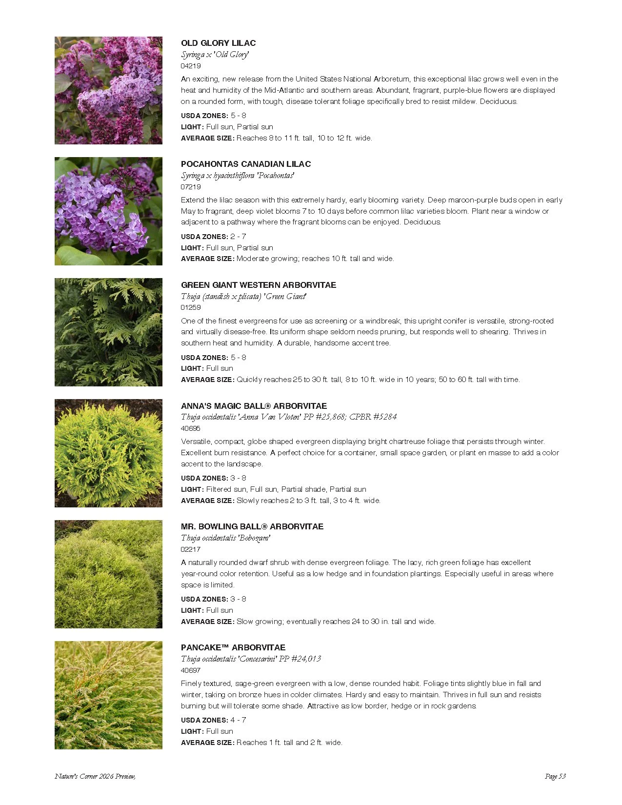 Page from a gardening guide displaying six different types of lilacs and arborvitae, including descriptions, planting zones, light requirements, and average sizes.