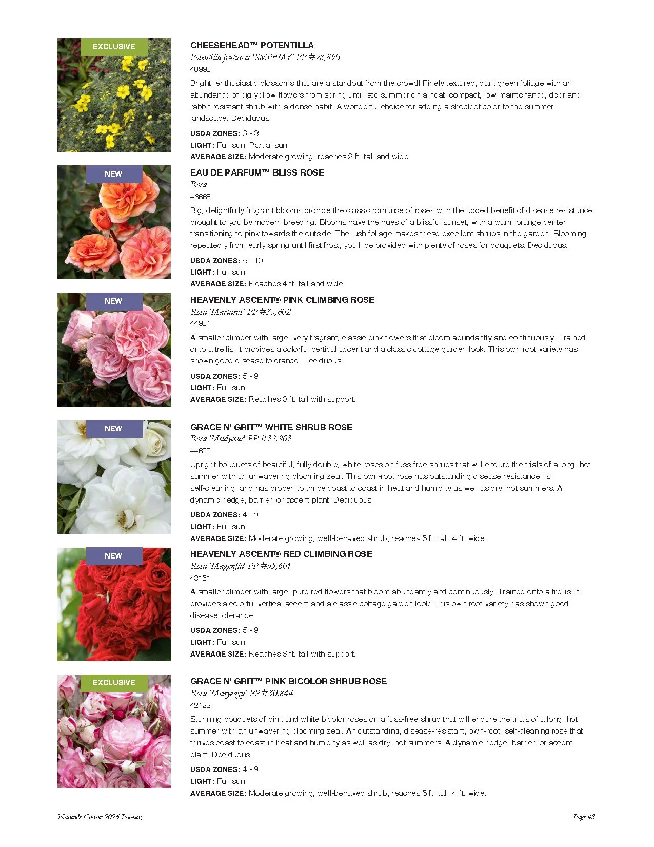 Page from a plant catalog showcasing different varieties of roses and flowering shrubs, including descriptions, size, and light requirements.