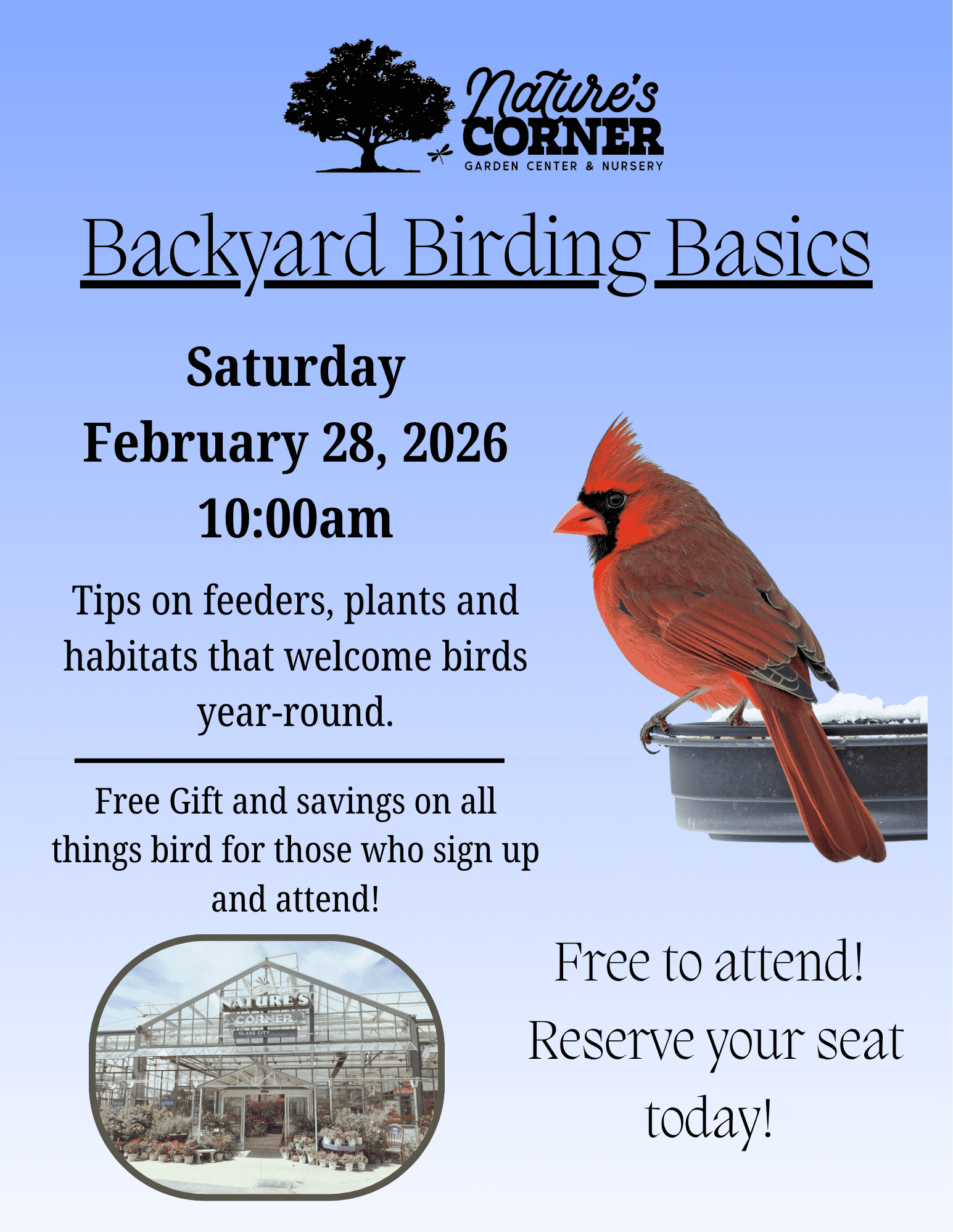 Backyard Birding Basics