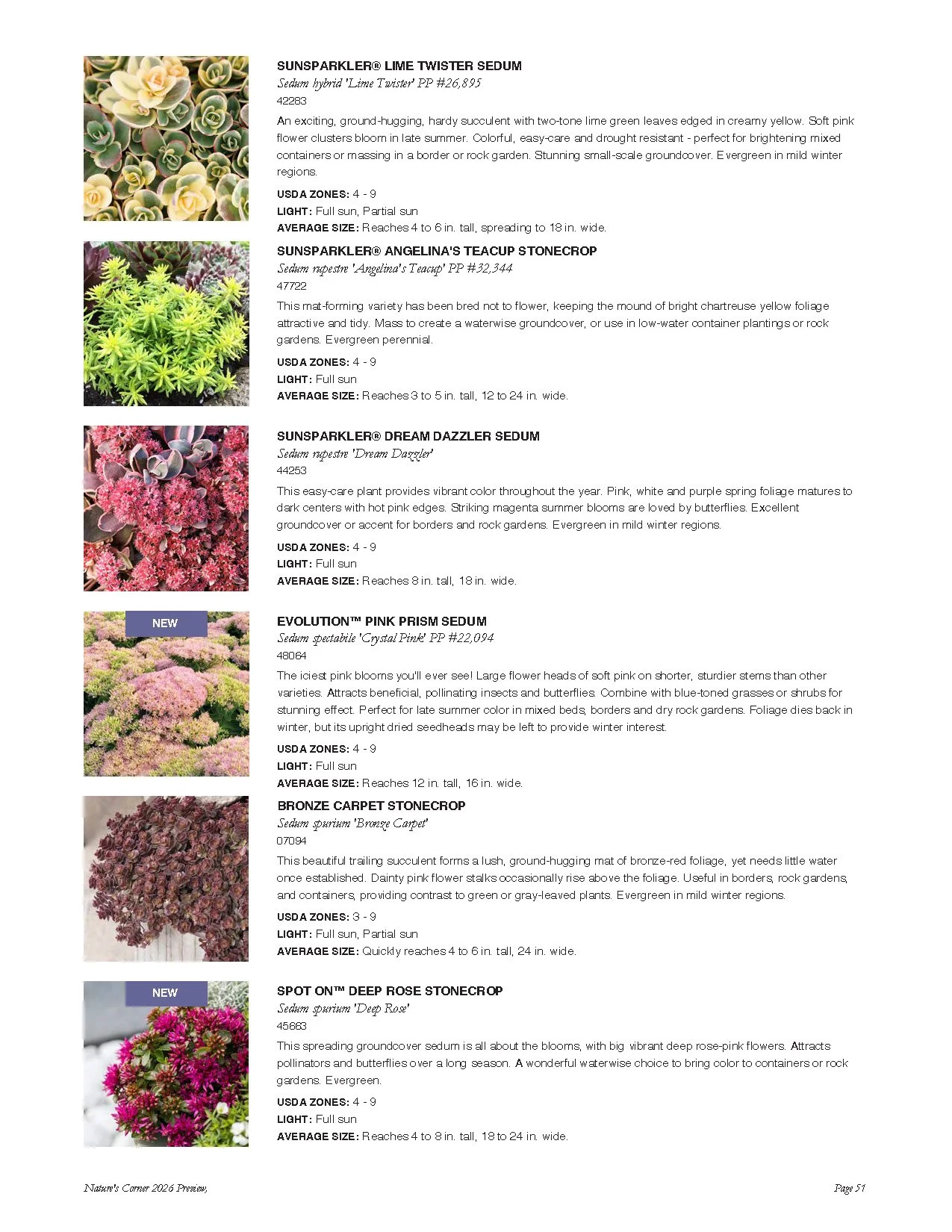 Page listing different varieties of sedum plants with images, descriptions, and gardening information.