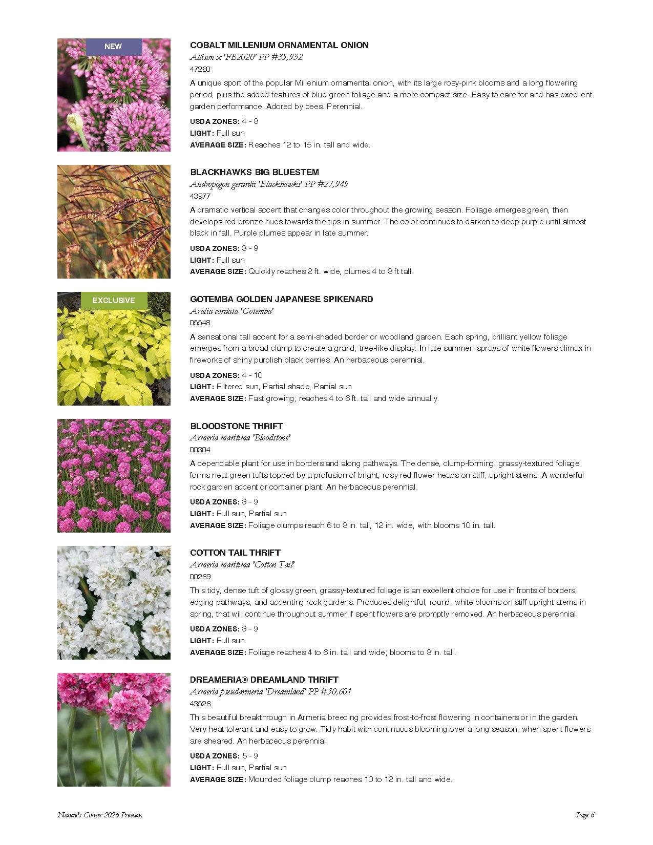 A catalog page listing various ornamental plants, including their descriptions, care details, USDA zones, light requirements, sizes, and photos of each plant.