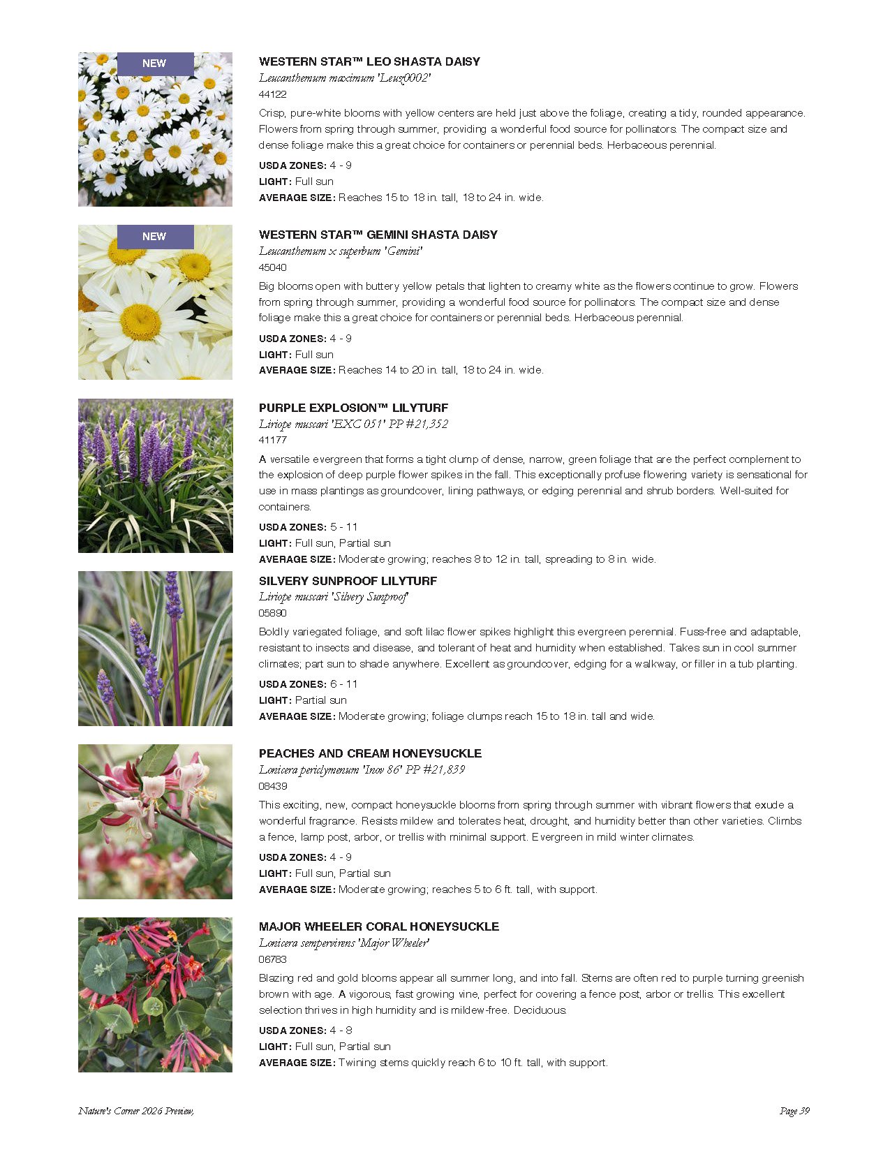 A catalog page featuring various daisy and ornamental grass flowers, including Western Star Leo Shasta Daisy, Western Star Gemini Shasta Daisy, Purple Explosion Lilyturf, Silvery Sunproof Lilyturf, Peaches and Cream Honeysuckle, and Major Wheeler Cor