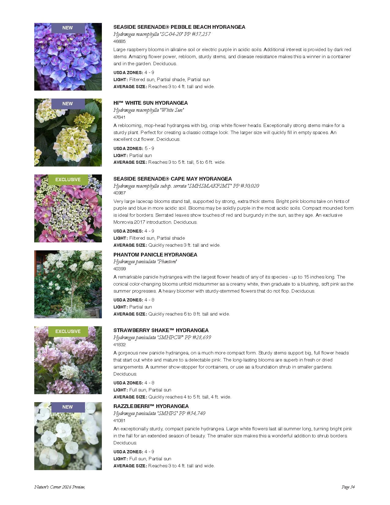 A catalog page showcasing various Hydrangea flowers, including 'Seaside Serenade,' 'White Sun,' 'Cape May,' 'Phantom,' 'Strawberry Shake,' and 'Razzle Berri,' with descriptions, zones, light requirements, size, and images of each variety.