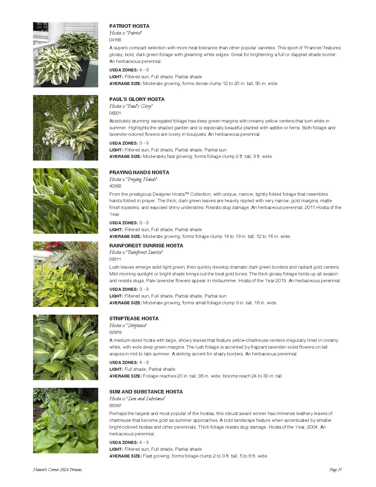 Page from a plant catalog showing six different types of Hostas with images, descriptions, USDA zones, light requirements, and average sizes.