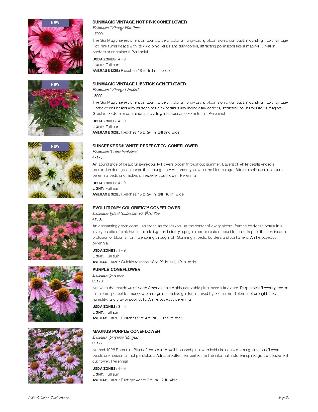 Page showing various types of coneflowers with images and descriptions, including SunMagic Vintage Hot Pink, SunMagic Vintage Lipstick, Sunseekers White Perfection, Evolution Colorific, Purple Coneflower, and Magnus Purple Coneflower.