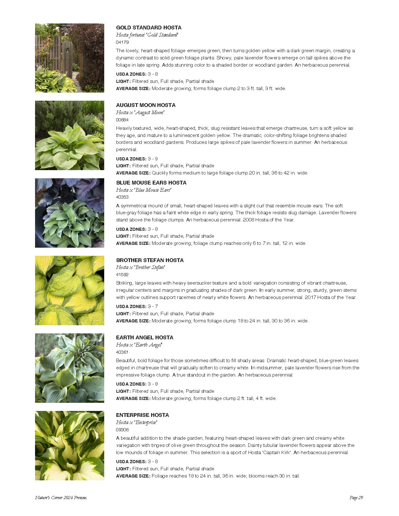 A catalog page displaying six different hosta plant varieties with descriptions and individual plant images.