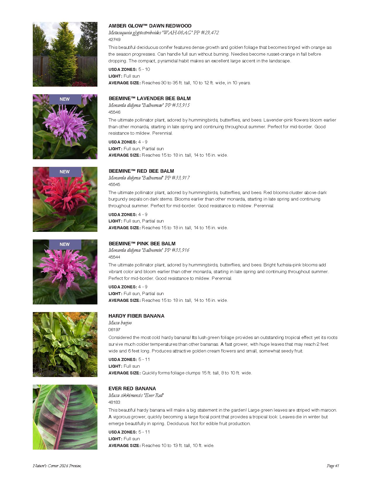 A catalog page displaying various plants, including conifers, bee balms, and bananas, with descriptions, USDA zones, light requirements, and average sizes.