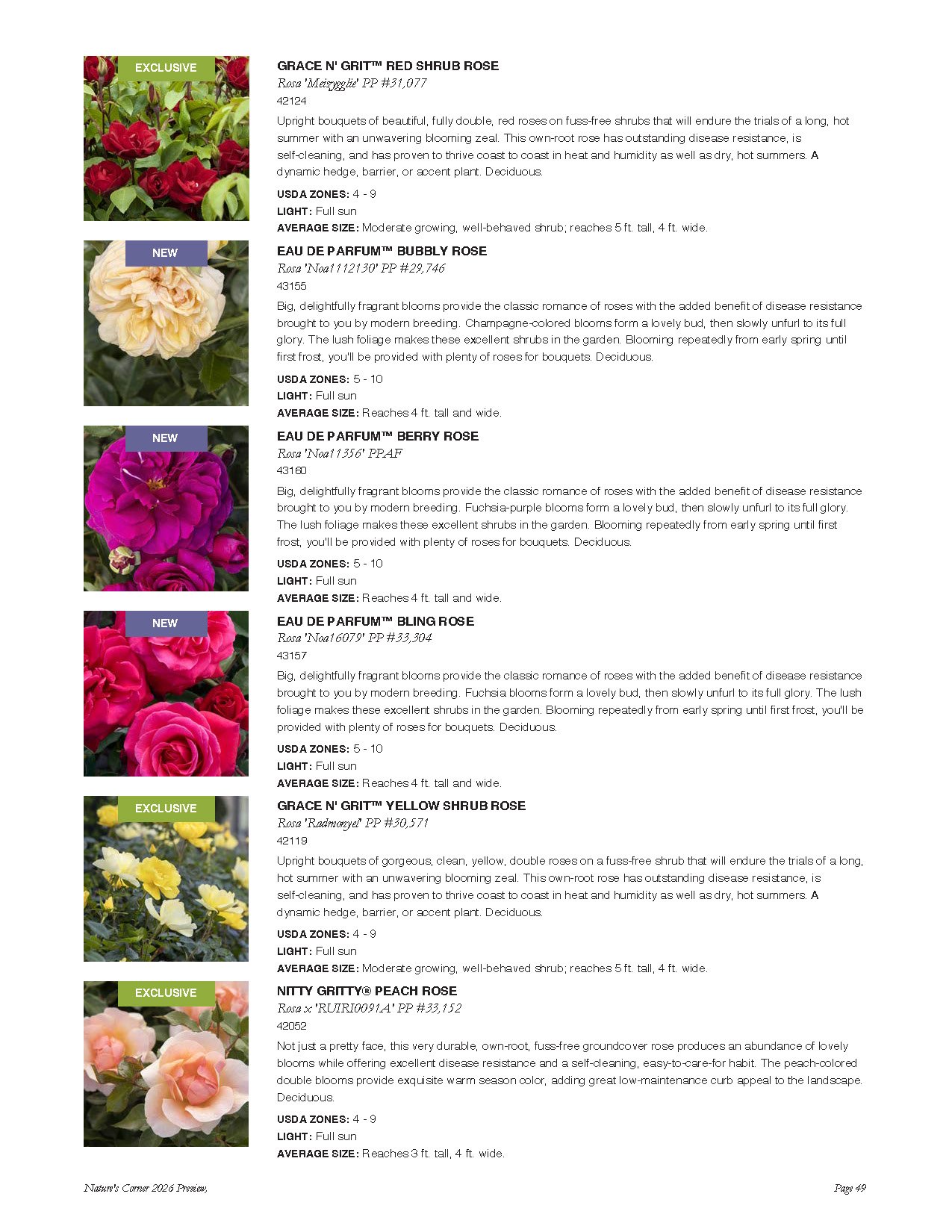 Catalog page displaying various rose plants with descriptions, including red, white, pink, yellow, and peach roses, some labeled as 'exclusive' or 'new' varieties.