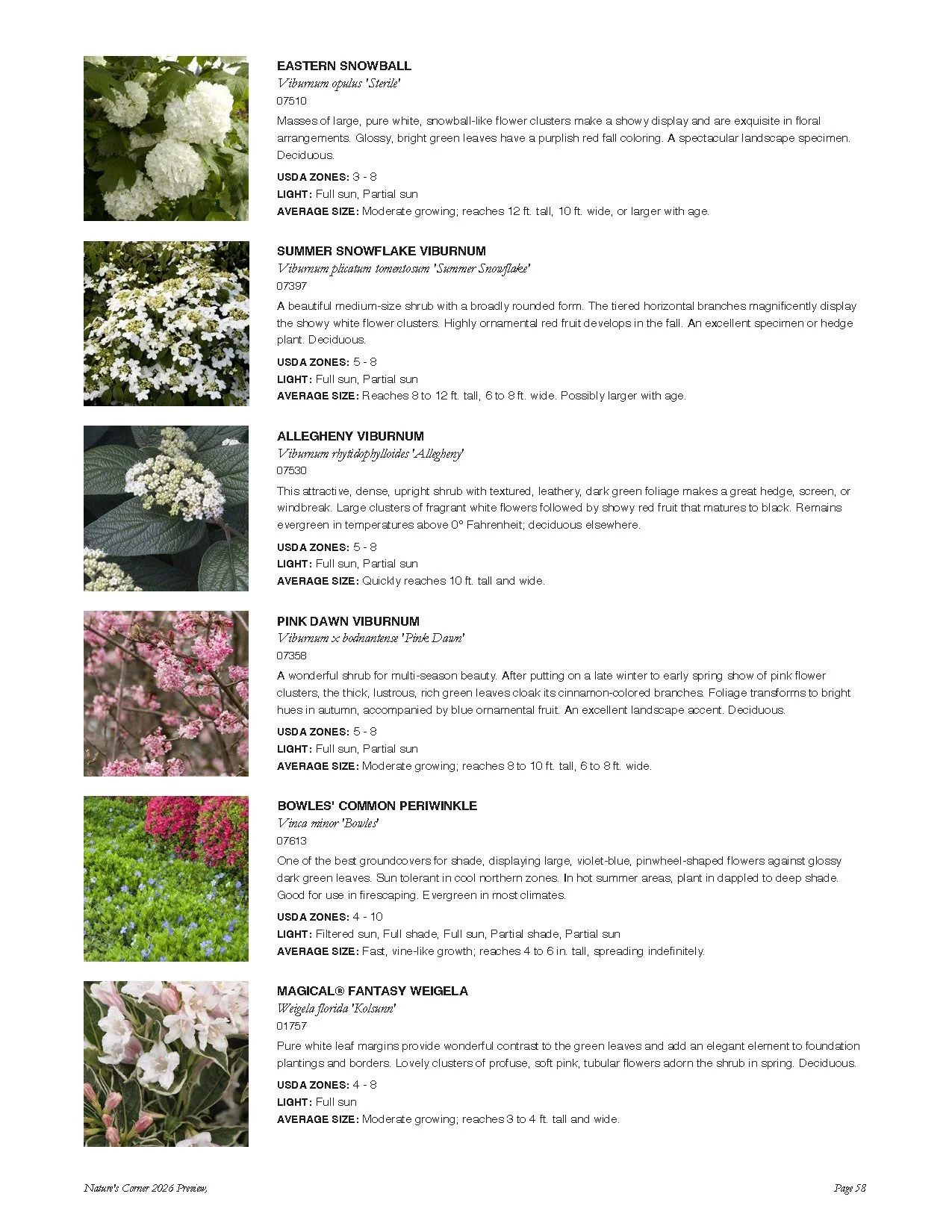 A page from a plant guide featuring images and descriptions of various flowering shrubs, including Eastern Snowball, Summer Snowflake Viburnum, Allegheny Viburnum, Pink Dawn Viburnum, Bowles' Common Periwinkle, and Magical Fantasy Weigela.