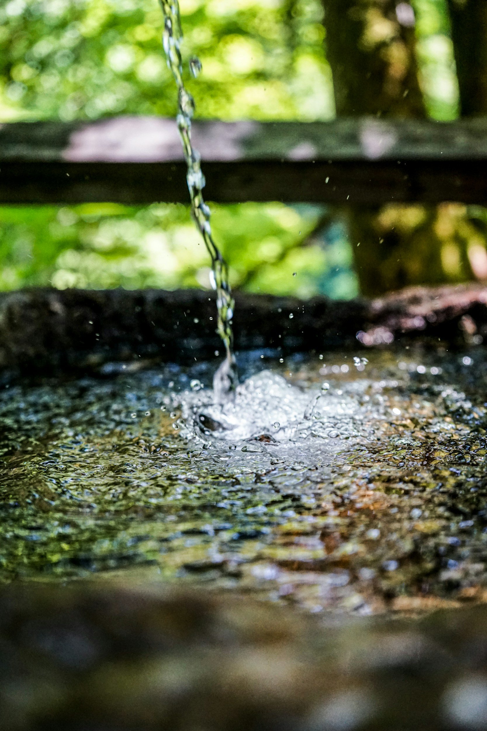 real estate well water testing service Raleigh NC next day