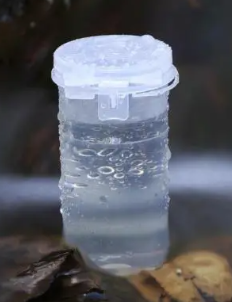 Filled with clear water