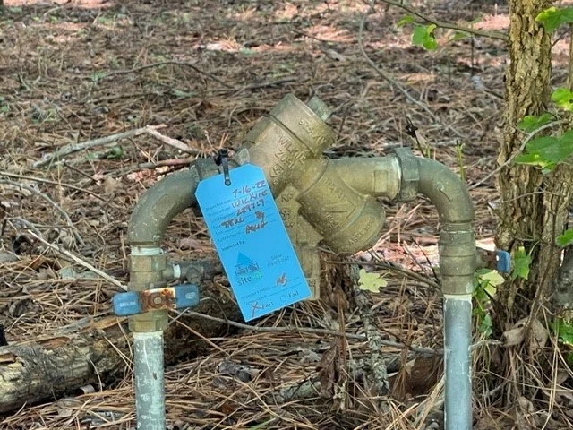 well water backflow