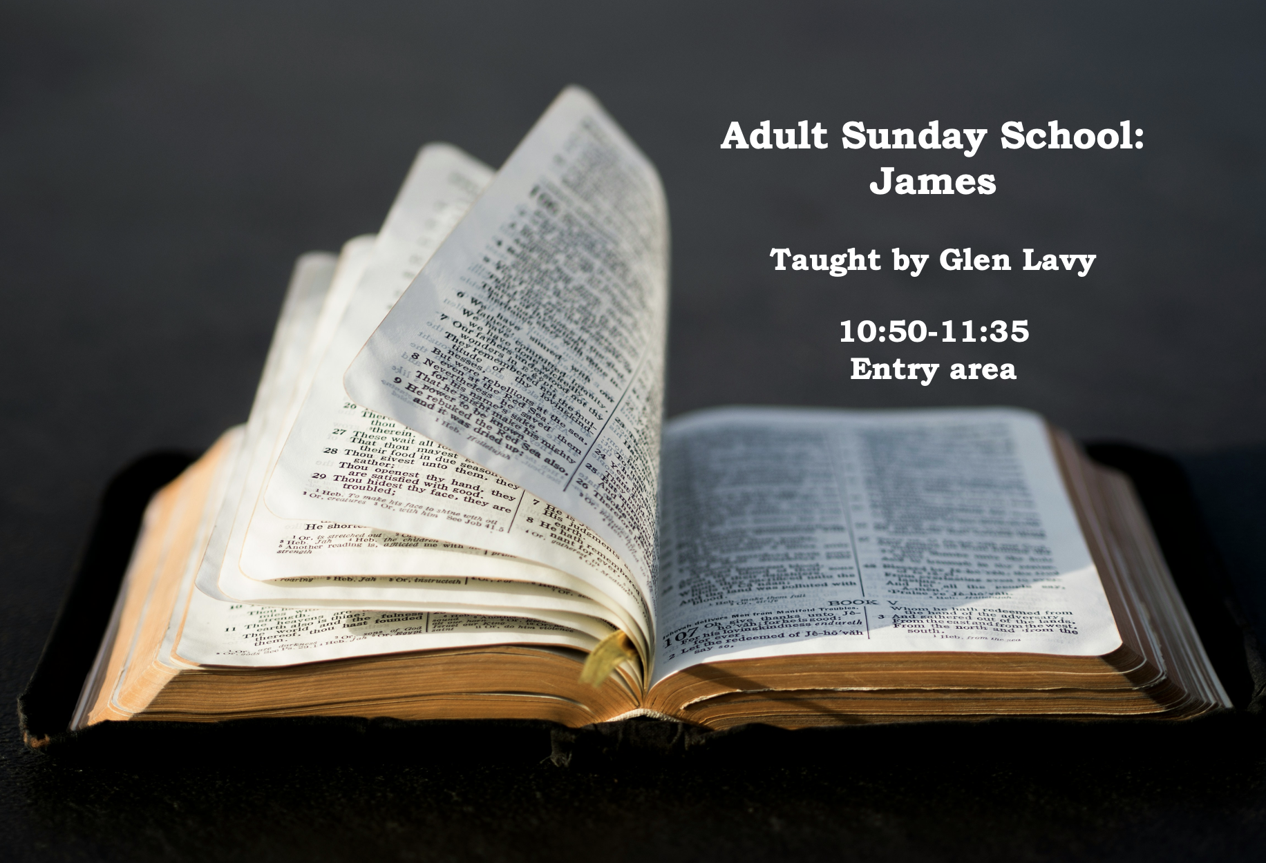 Screenshot 2026-01-31 at 11.08.29 AM.png