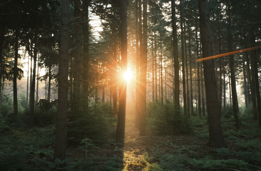 Why Market Volatility Creates Opportunity for Long-Term Investors
