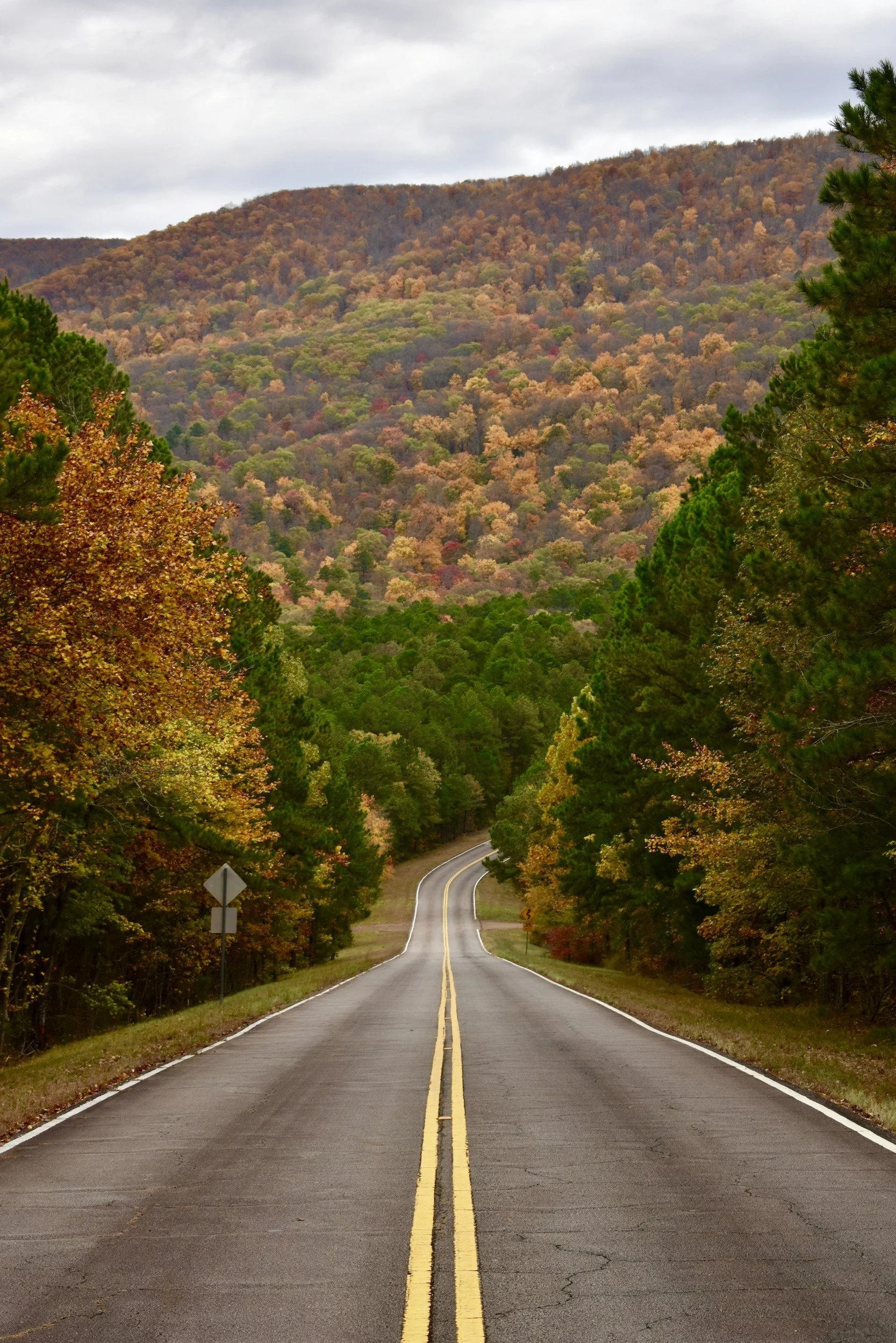 Aerial view of a winding road through a forest with trees displaying fall colors, and a yellow car driving along the road.