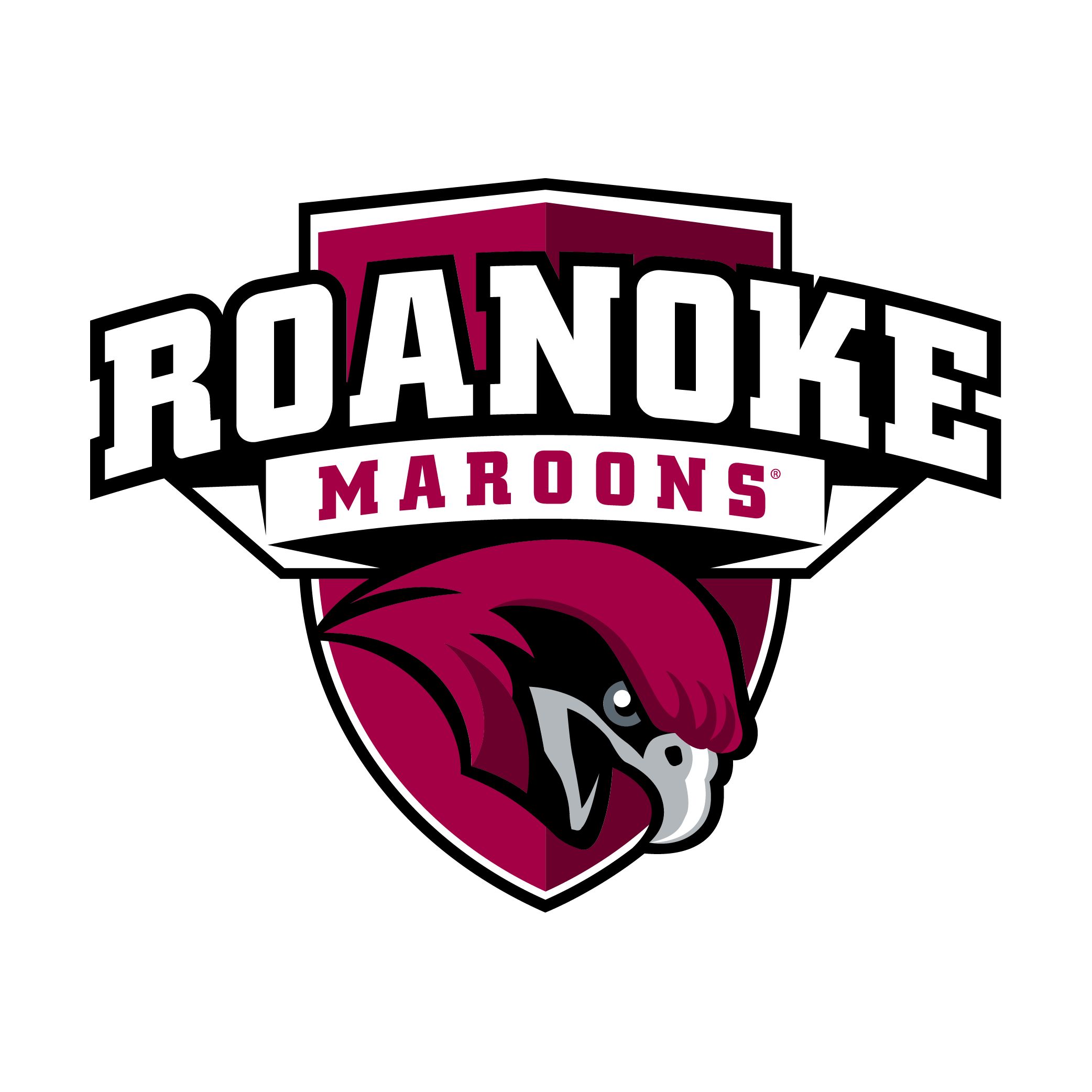  Roanoke  
2026 - Vincent Mulieri  