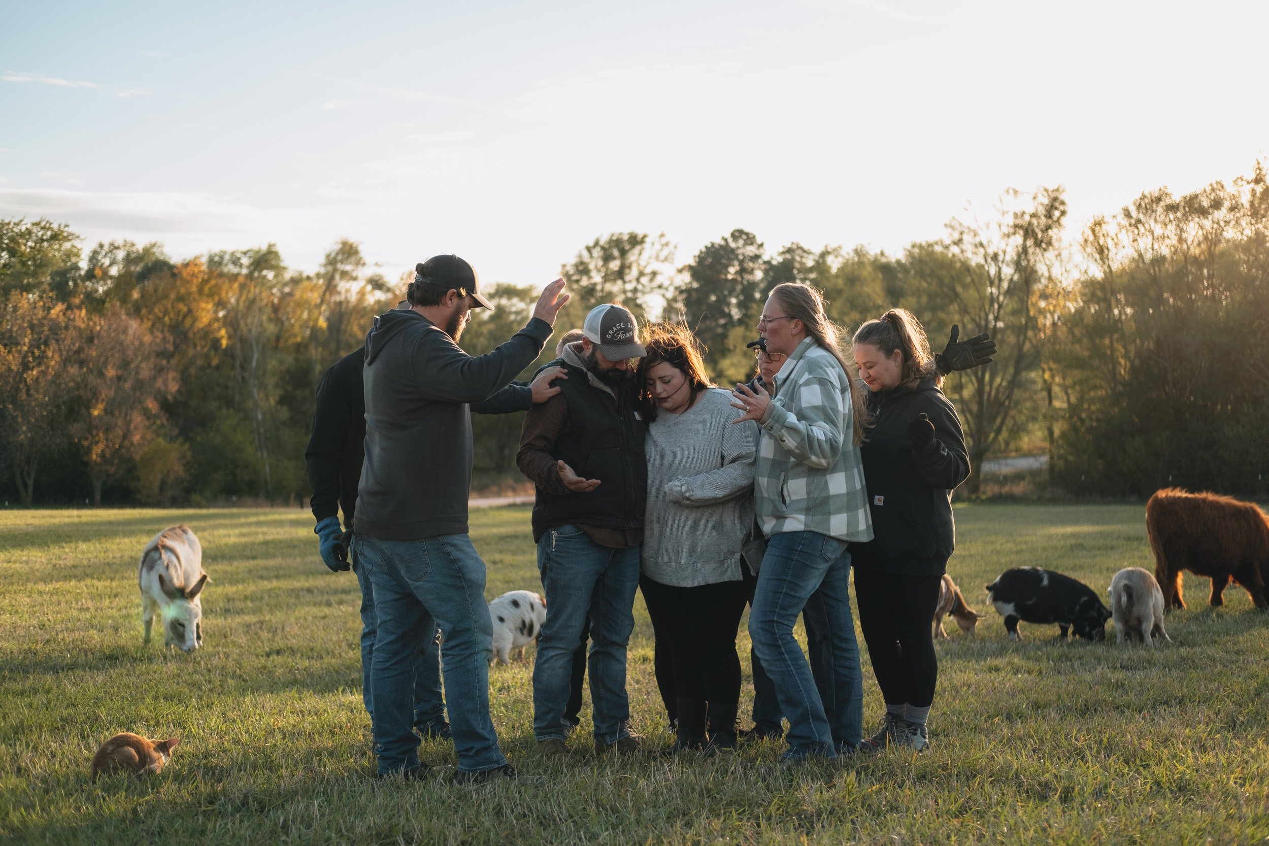Group of six people praying together outdoors in a field at sunset, with several dogs and a sheep grazing around them.