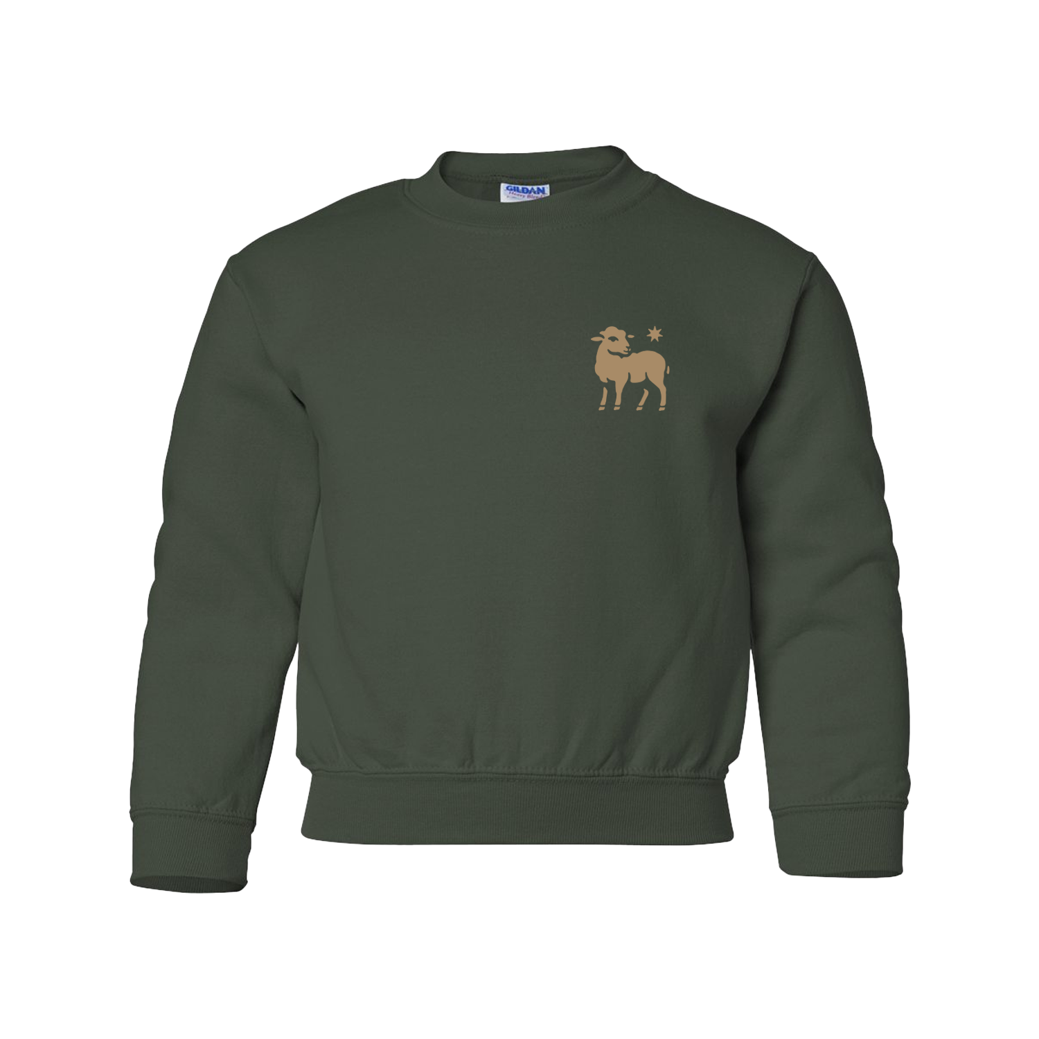 youth-sweatshirt-front.png
