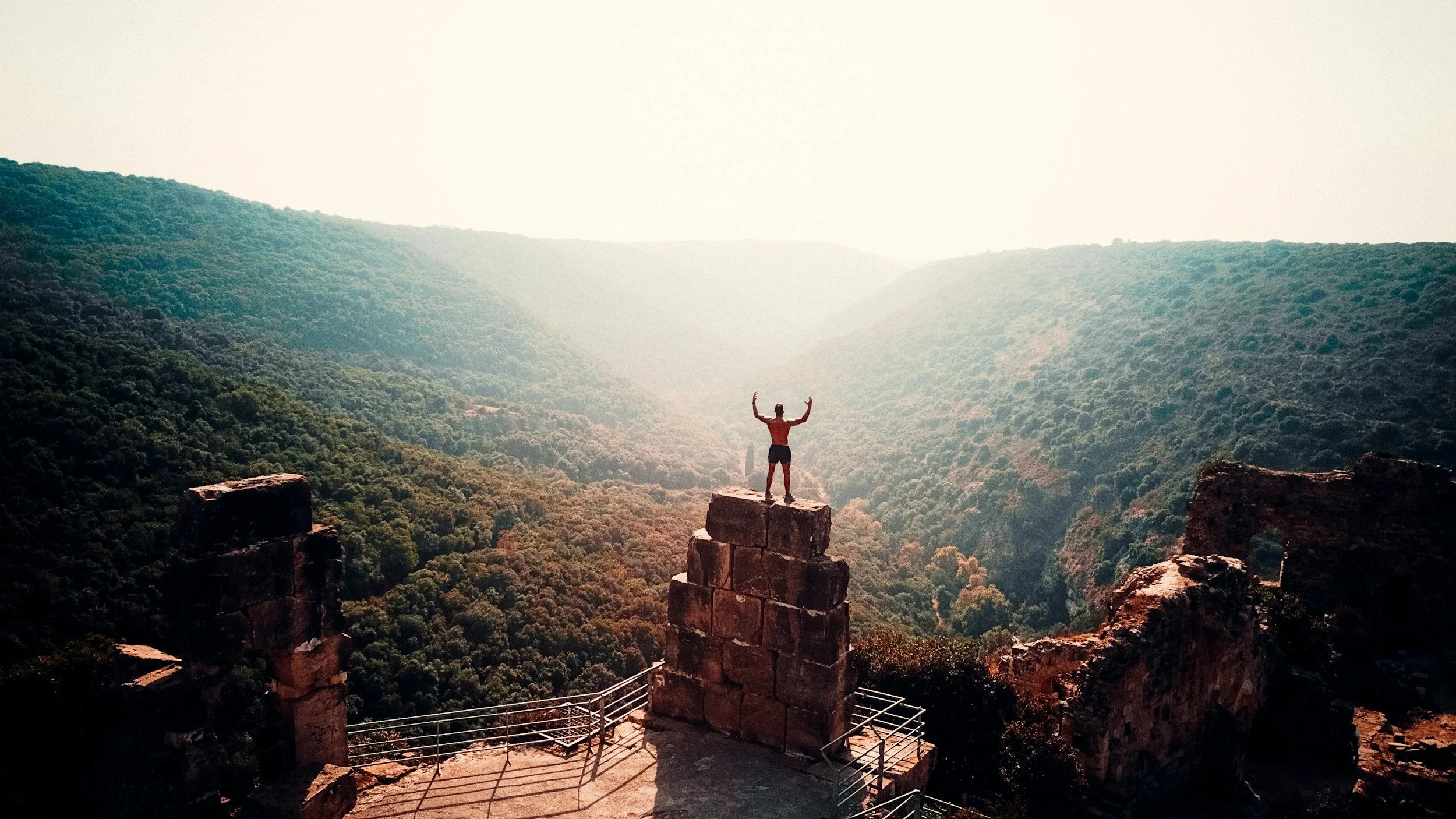 A person standing on top of a rock formation with arms raised, overlooking a deep green valley with mountains in the distance.