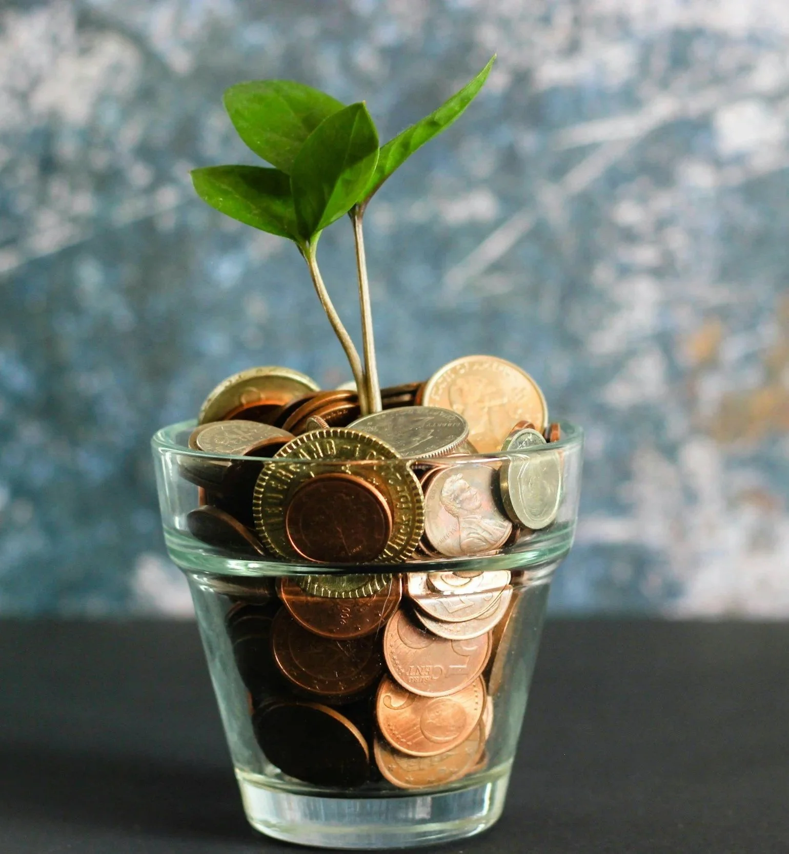 A glass cup filled with various coins, with a small green plant with two stems and several leaves growing out of the coins.