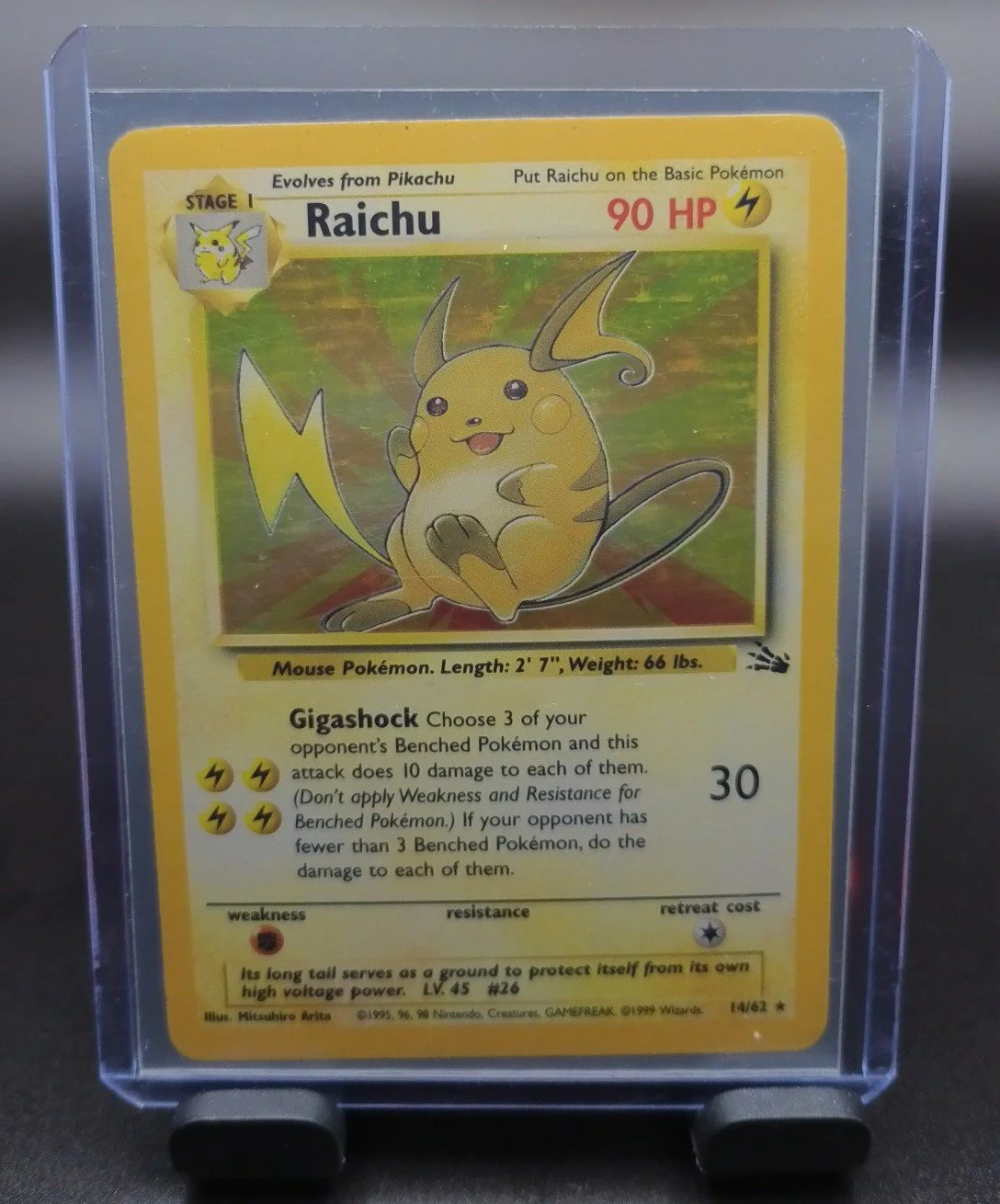 Raichu Fossil