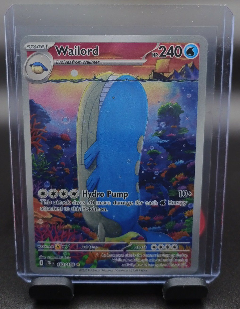 Wailord IR JT
