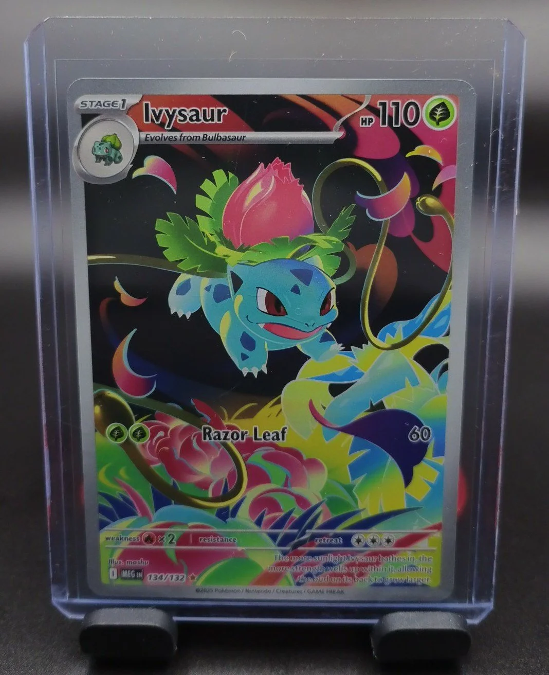 Ivysaur Mega Evolution