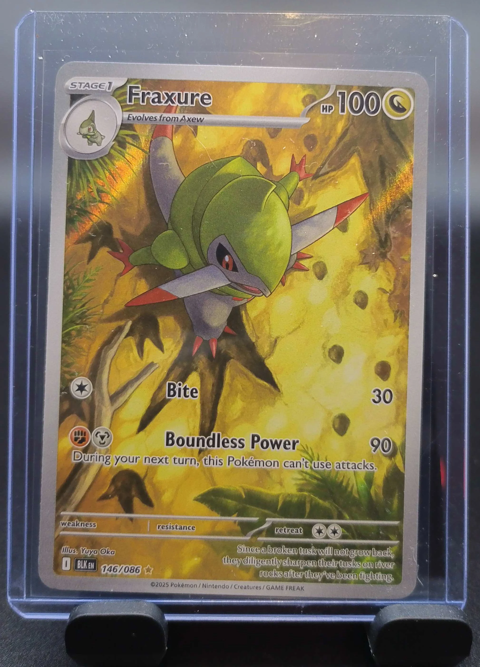 Fraxure - 146/086 - SV: Black Bolt (BLK)