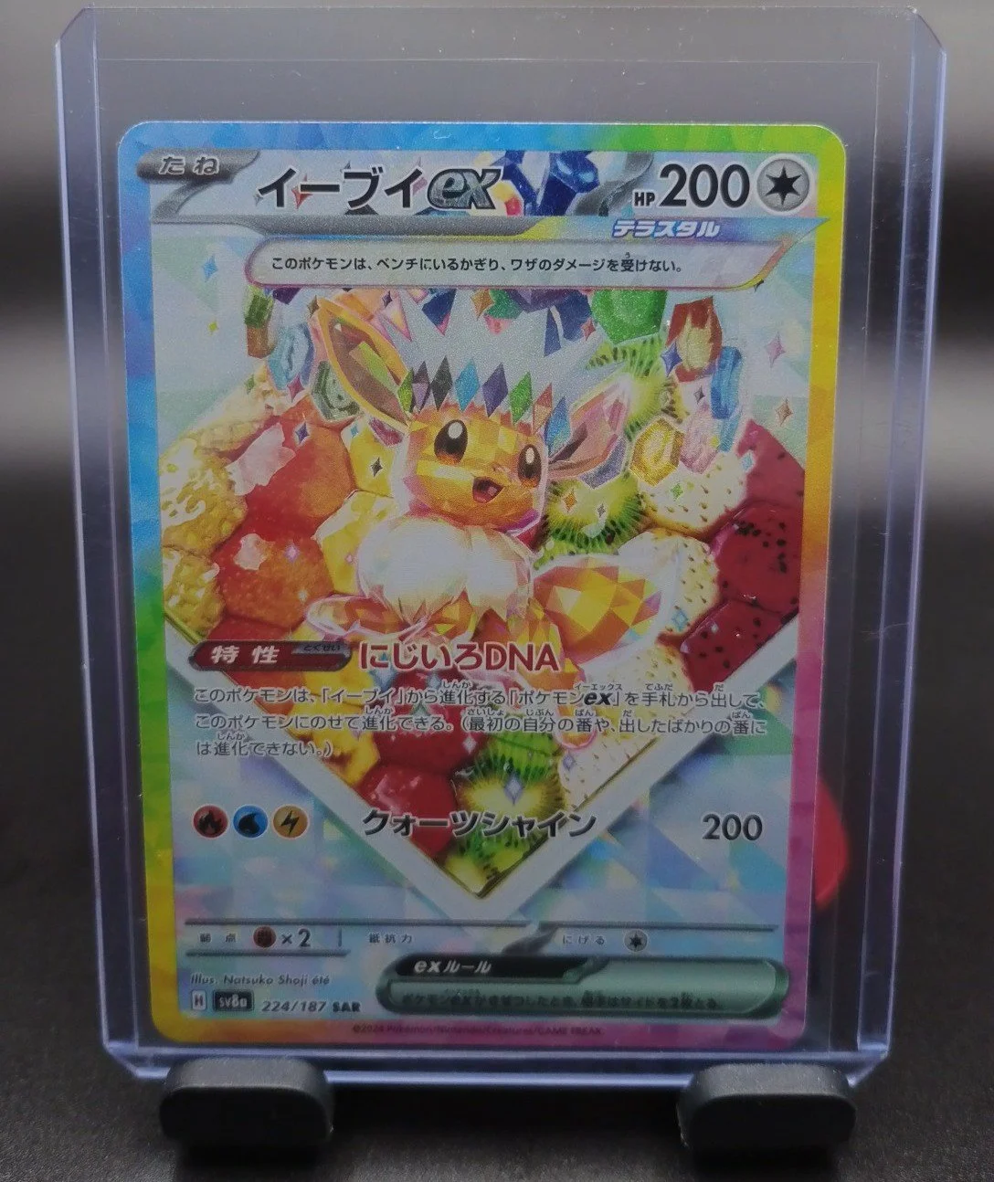 Eevee SAR Tera Festival