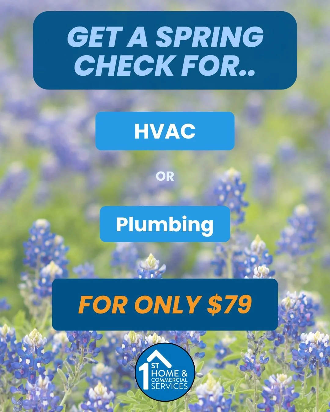 🌼 Spring Maintenance Special – Only $79