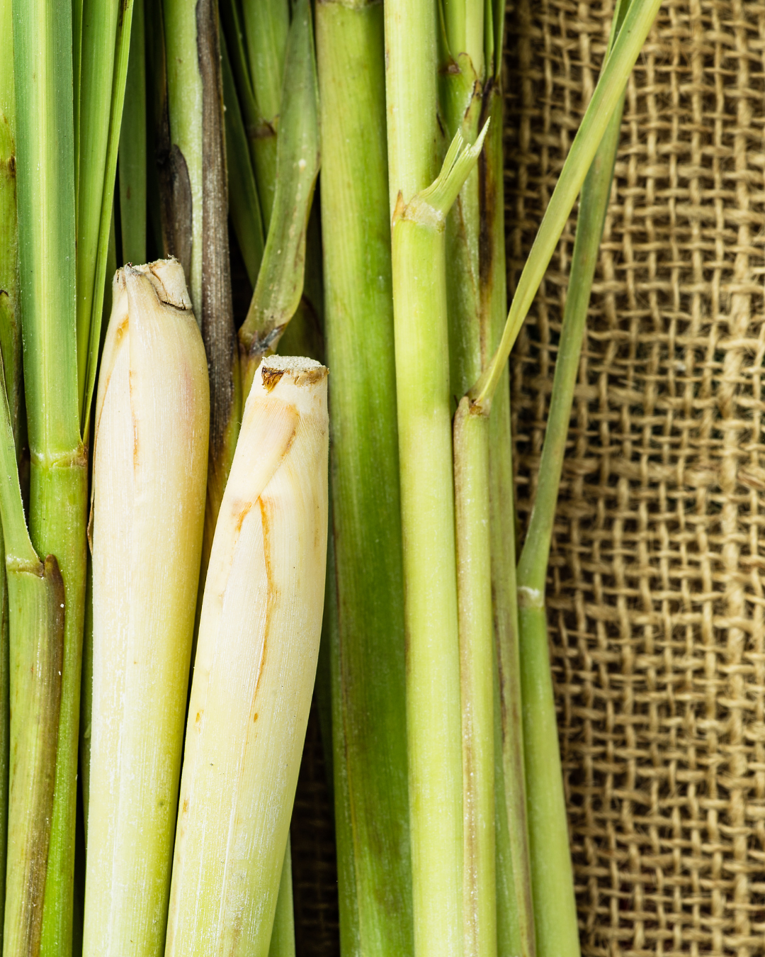 Lemongrass Essential Oil: Anti-inflammatory and antimicrobial. Lemongrass oil reduces inflammation, fights bacterial and fungal infections, and helps balance excess oil production — making it particularly effective for acne-prone and combination skin