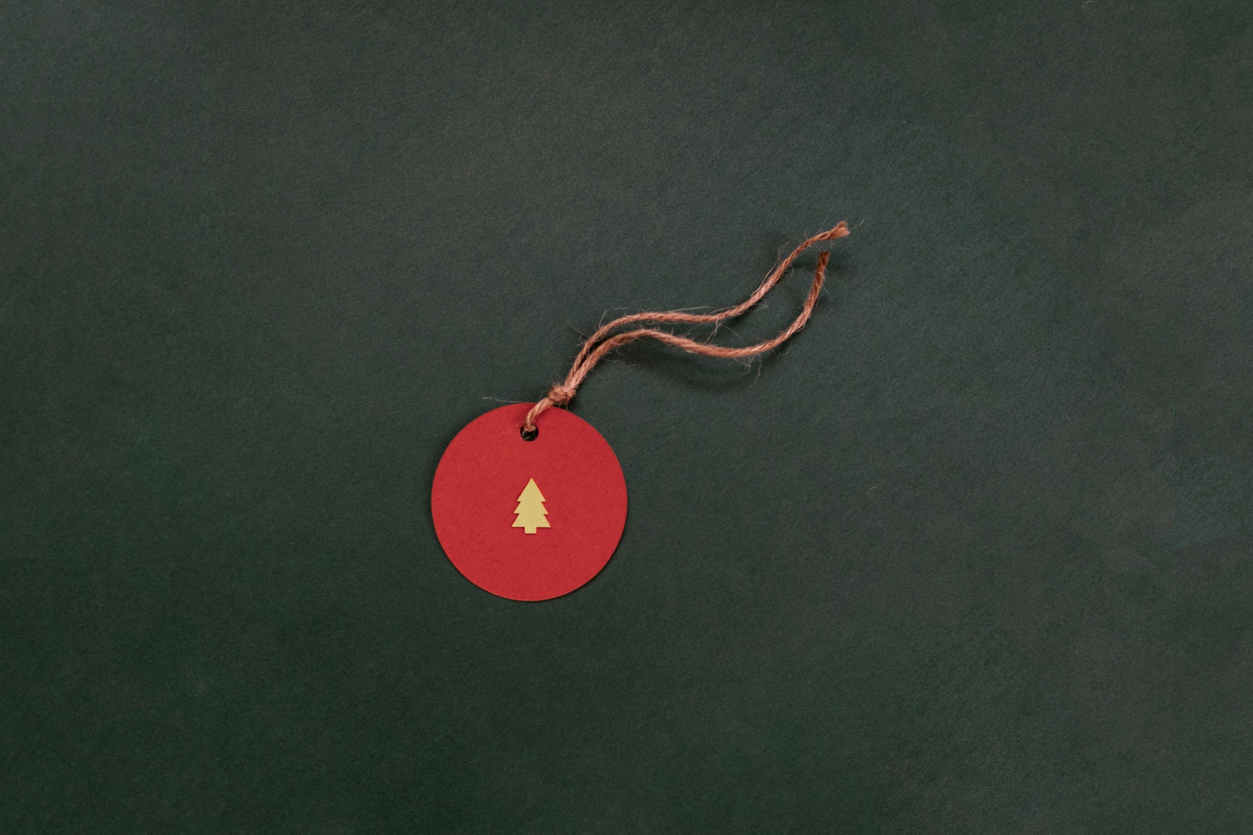 My 10th Tiny Holiday Season: 100+ Clutter-Free Gift Ideas That Truly Fit