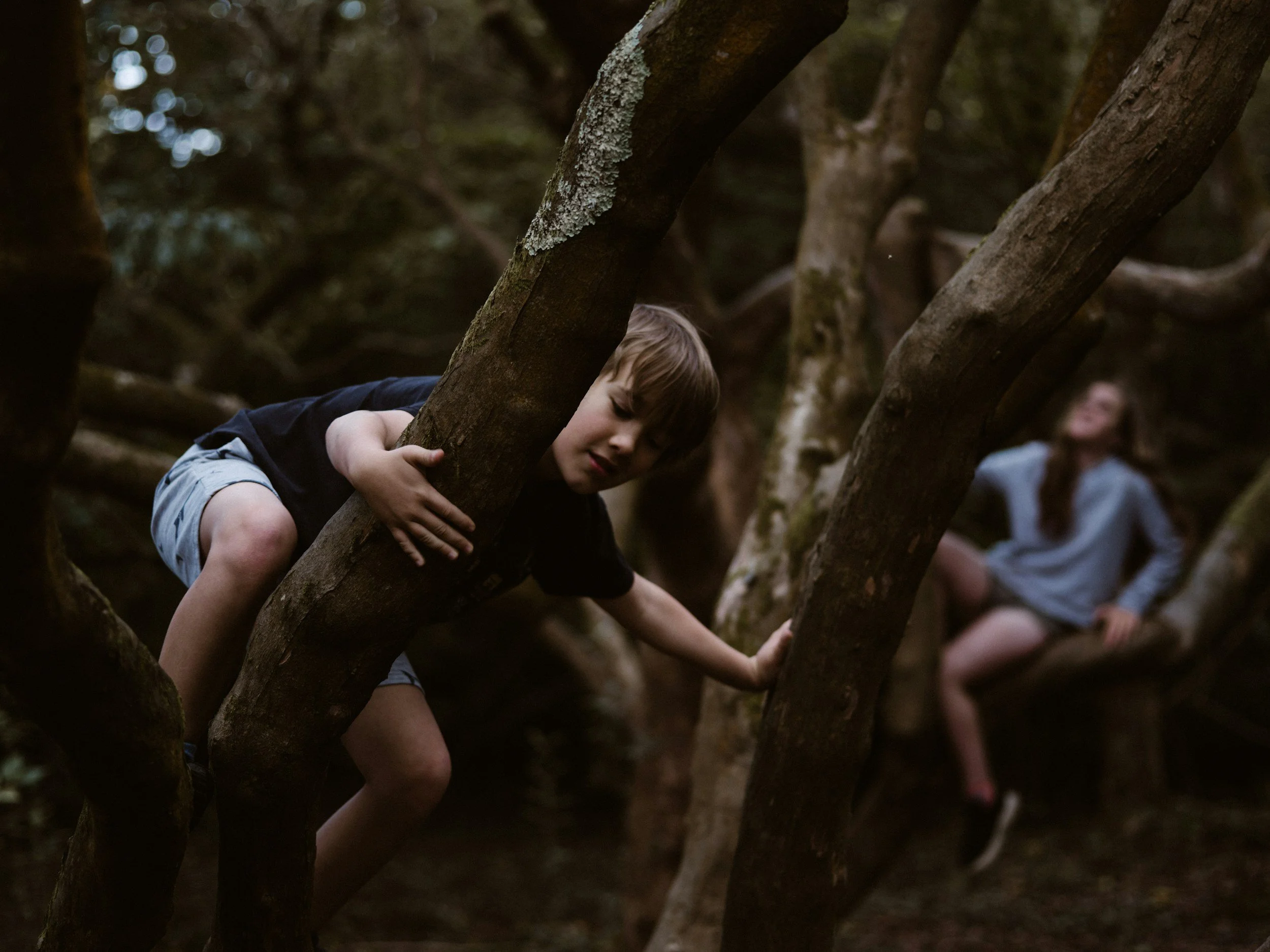 A New Kind of Wilderness: On Grief, Family, and Continuing Bonds