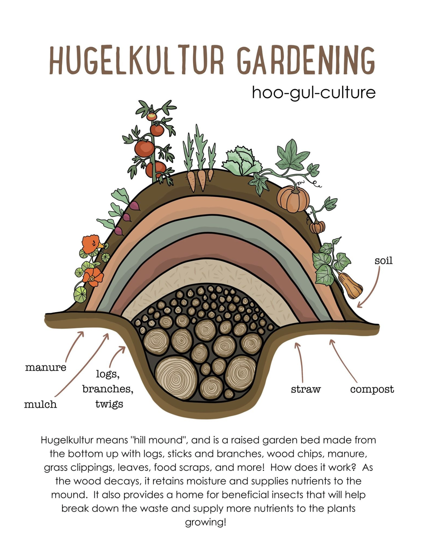Diagram of a hugelkultur garden bed showing layers of logs, branches, twigs, straw, compost, soil, mulch, manure, and various plants. Accompanying text explains hugelkultur as a raised garden bed made from decomposing wood that retains moisture and provides nutrients.