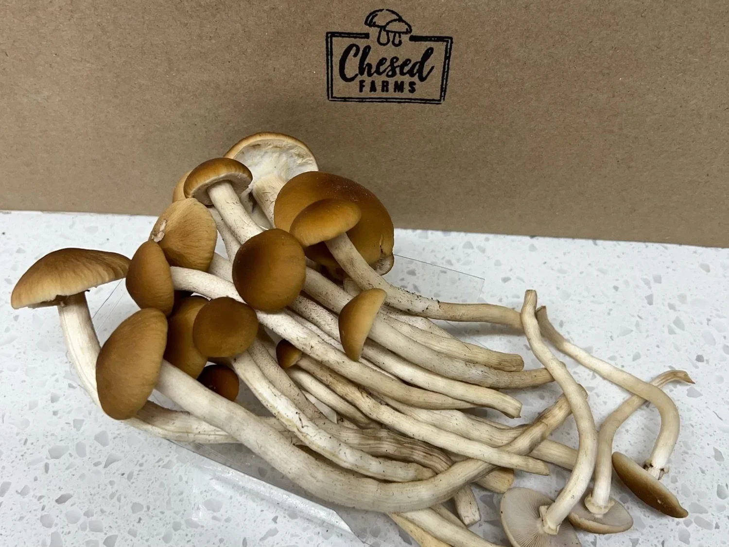 Fresh brown mushrooms with long stems on a white speckled surface, with a cardboard box labeled 'Chased Farms' in the background.