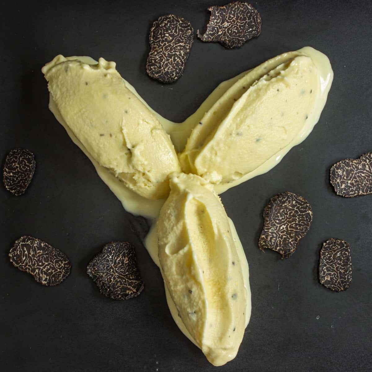 Jean Louis Palladin’s Black Truffle Ice Cream