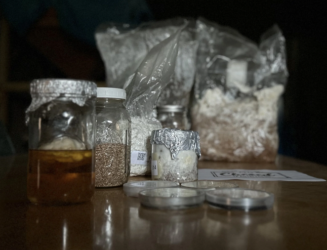 Various jars and containers with powders and liquids on a wooden surface, with a bag of flour or powder in the background.