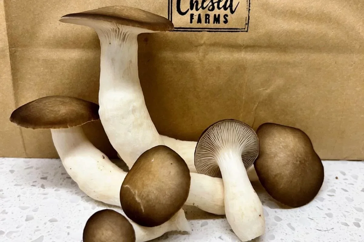 A group of brown-capped mushrooms with white stems placed on a white speckled surface in front of a brown paper bag with a 'Chista Farms' label.