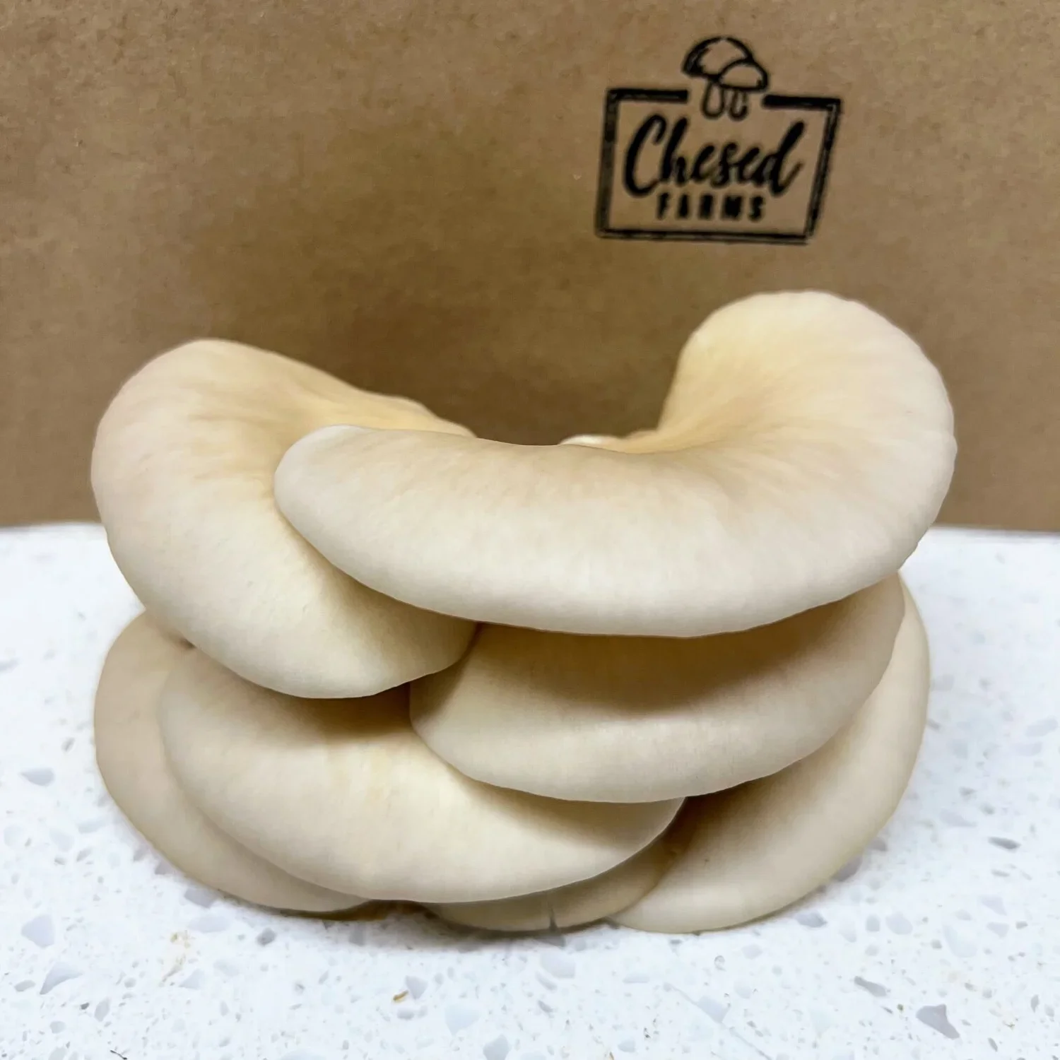 A few white mushrooms stacked in front of a cardboard box labeled 'Chased Farms' with a mushroom illustration.