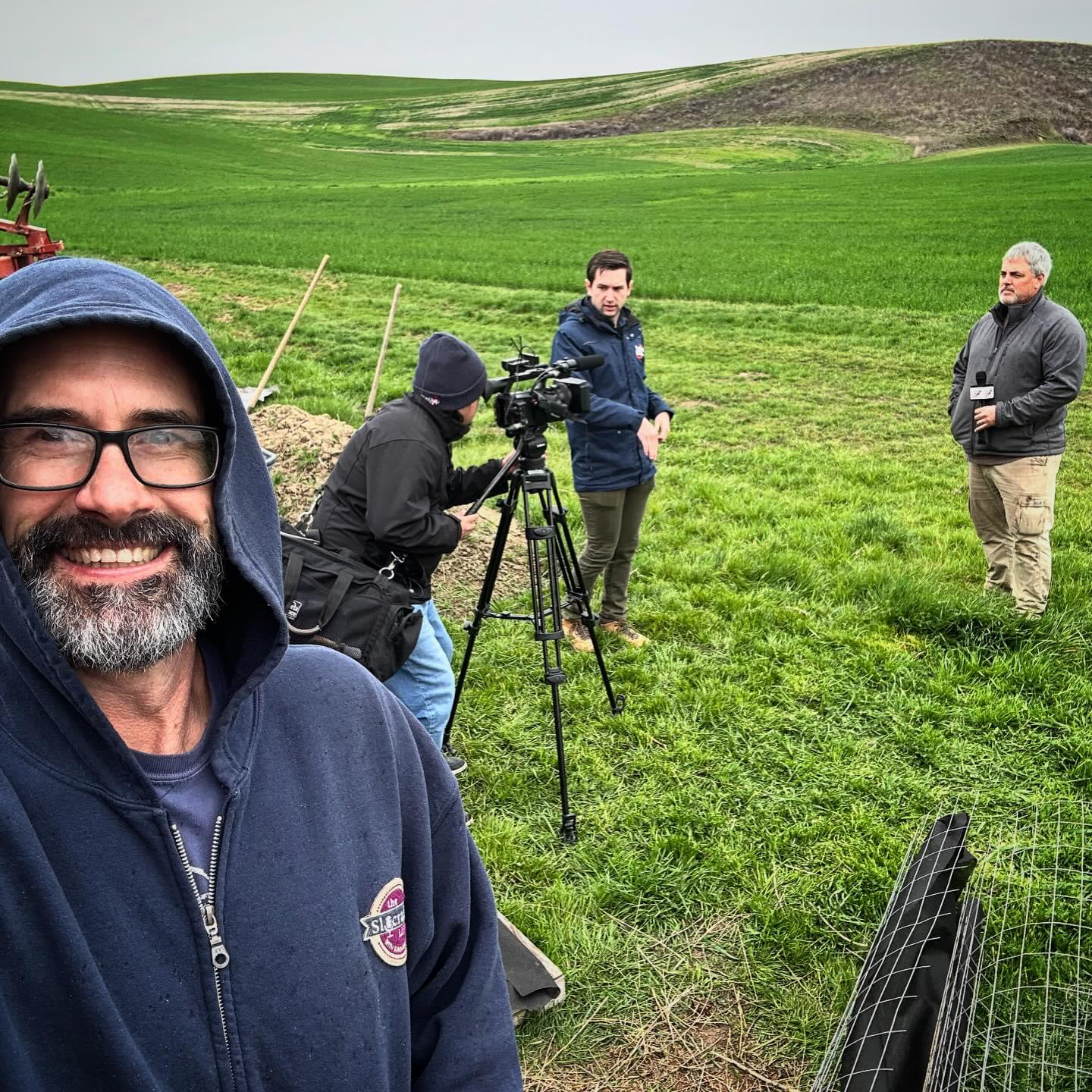 Mushroom Mulch Benefits