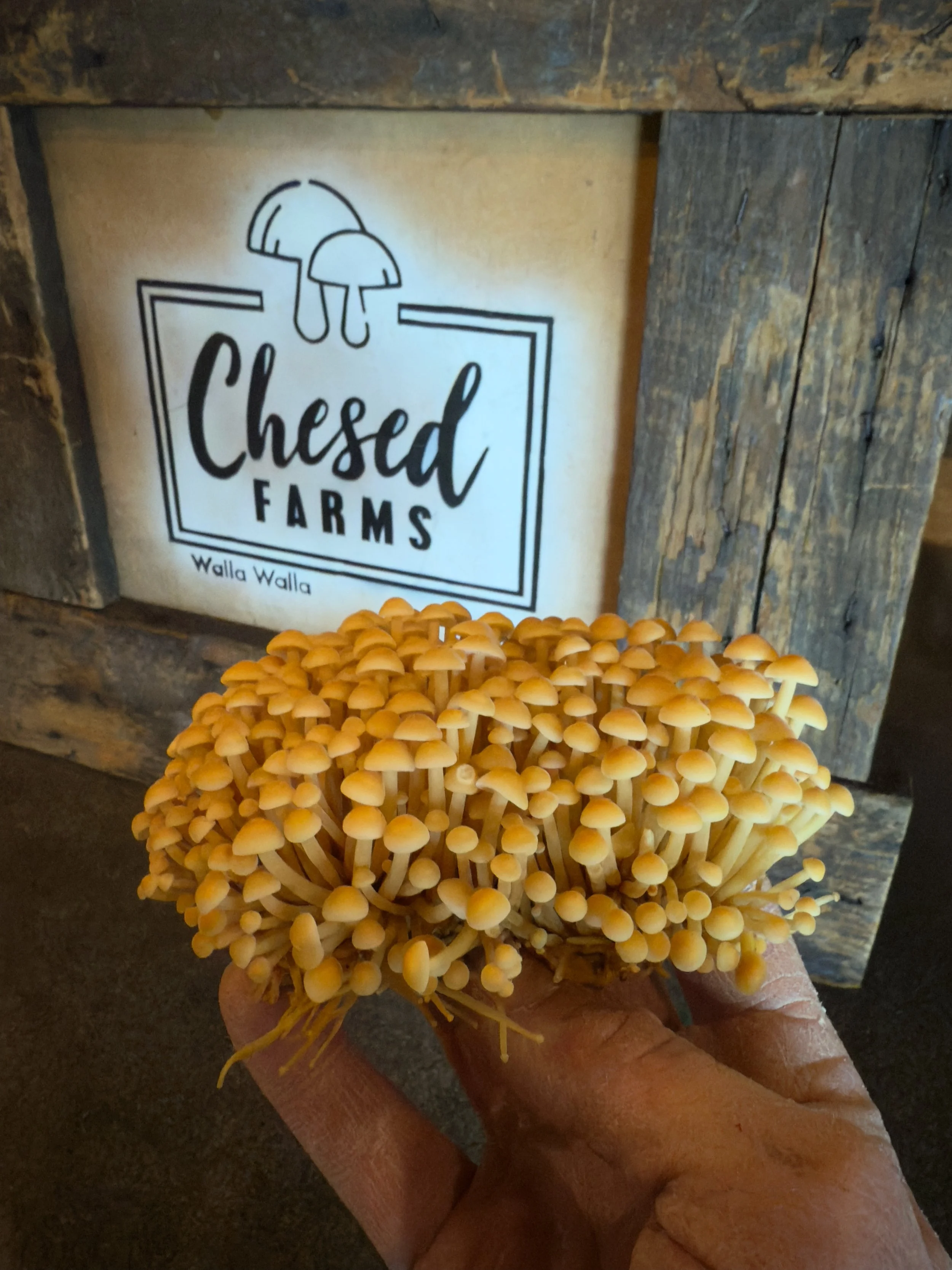 Image of a dark, clouded sky with no distinguishable objects.