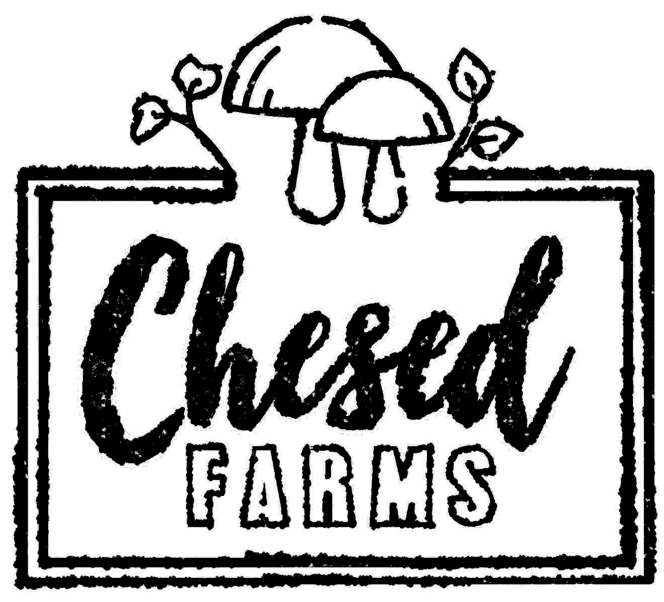 A black T-shirt with white text that reads 'Nope.'