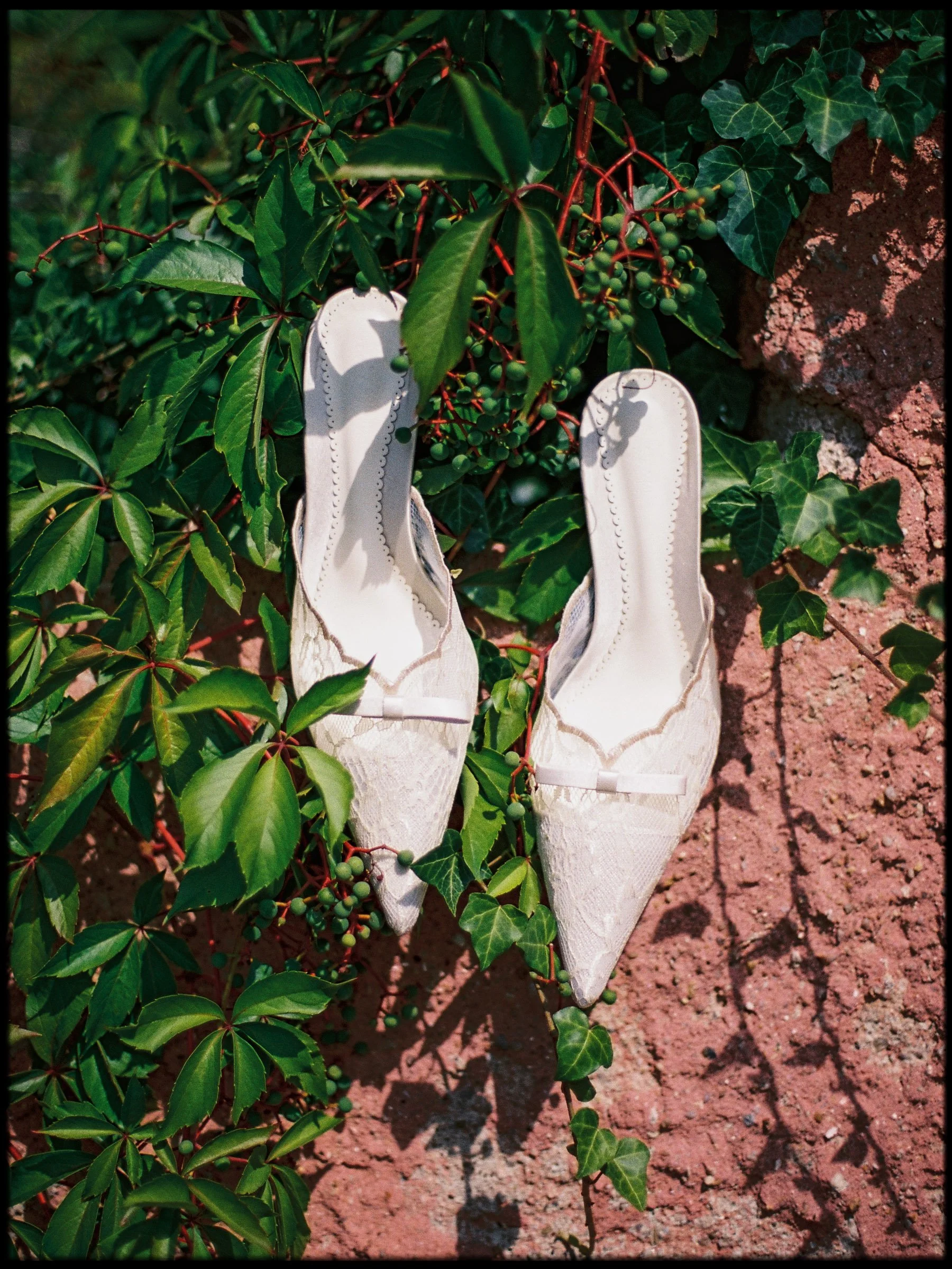 A pair of white lace high-heeled shoes hanging on a green leafy plant with small green berries, next to a brick wall.