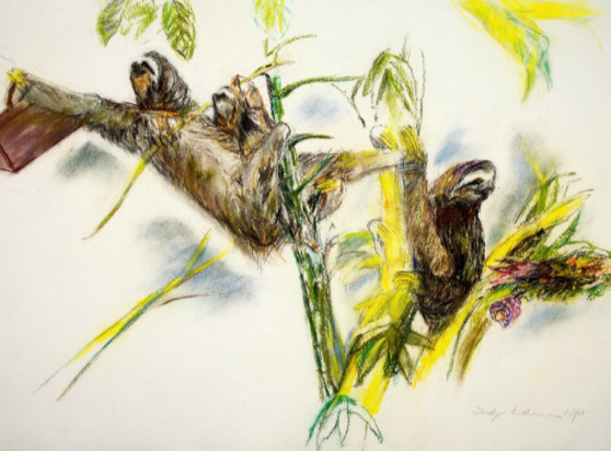 Retired CEOs Relaxing in Latin America