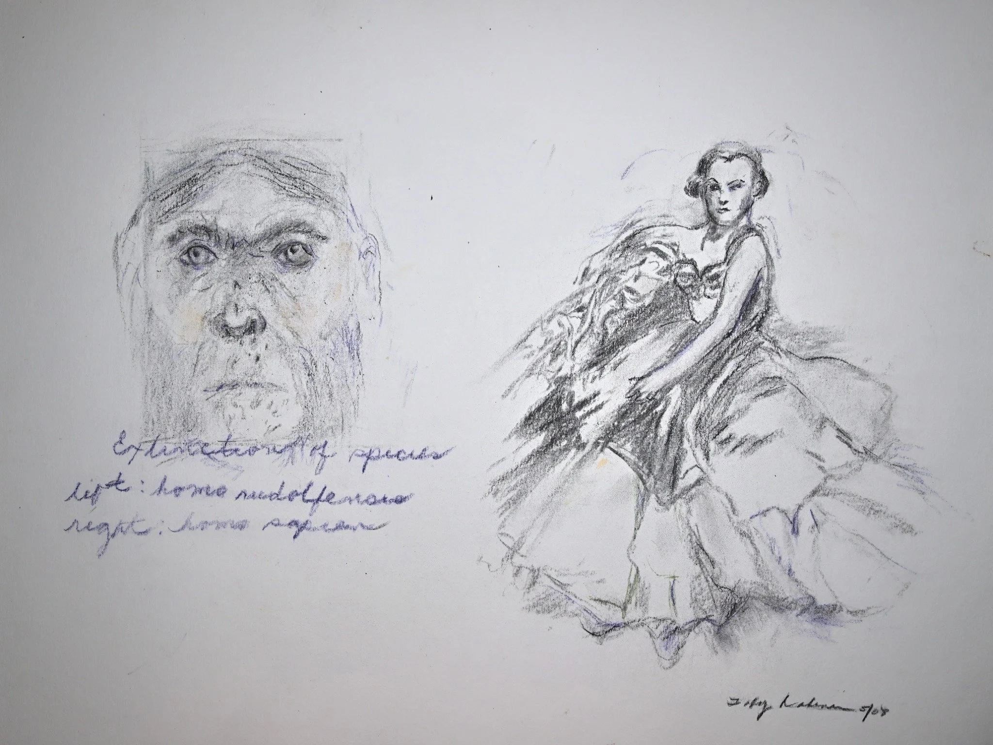 DSC_6006_compressed (1).jpg