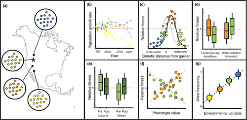 Responses to climate change – insights and limitations from herbaceous plant model species