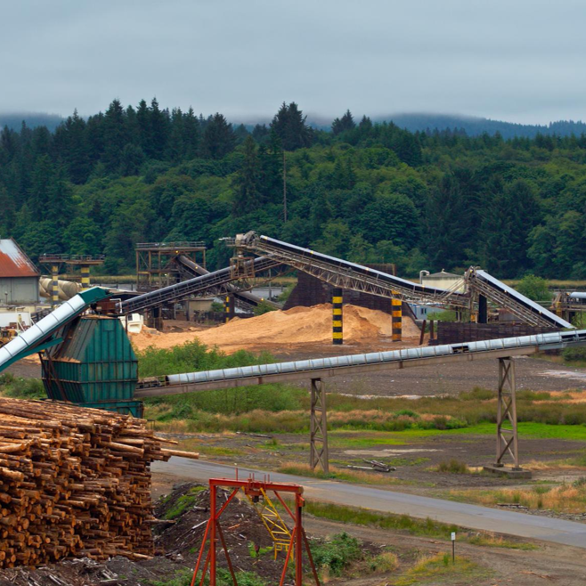 Industrial lumber mill with conveyor belts and stacks of logs, surrounded by green trees and mountains in the background.