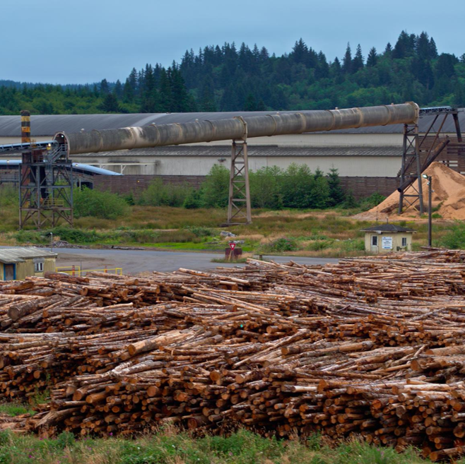 A lumber yard with stacks of cut logs in the foreground and industrial equipment, including conveyors and buildings, in the background.