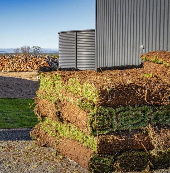 Stacks of cut tree logs with exposed roots and a large metal building in the background.