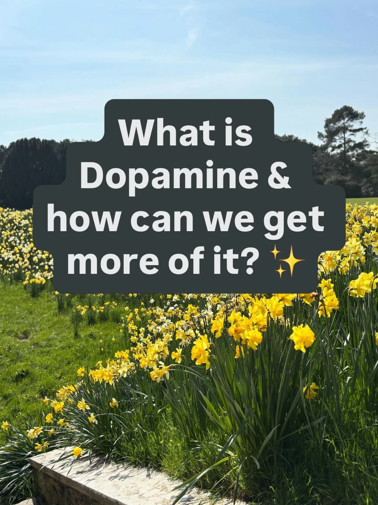 What is Dopamine &amp; how can we get more of it? ✨